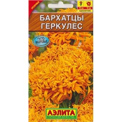 Бархатцы Геркулес (Код: 70902)