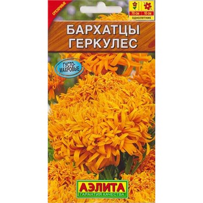 Бархатцы Геркулес (Код: 70902)