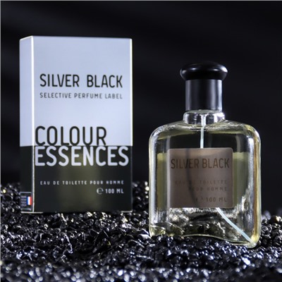 Туалетная вода мужская Colour ssncs Silvr Black, 100 мл (по мотивам Egoiste Platinum (Chanel)