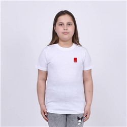 Футболка Under Armour арт 8623