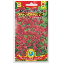 Лихнис вискария Ярко-красный (Код: 75970)