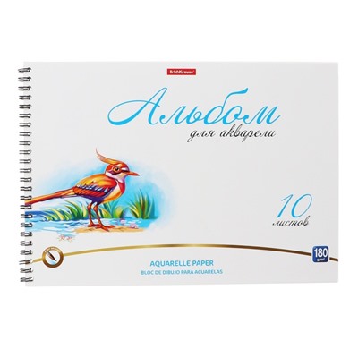 Альбом для акварели А4, 10 листов на спирали, Erich Krause Birds, блок 180 г/м², экстра белая, перфорация для отрыва, твердая подложка