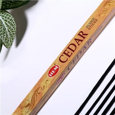 Благовония HEM "Cedar. Кедр", 8 палочек в упаковке, четырёхгранник