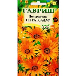 Диморфотека Тетра Голиаф (Код: 9898)