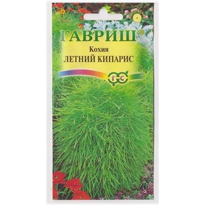 Кохия Летний Кипарис (Код: 3477)