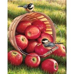 Картина по номерам 40х50 - Спелые яблочки