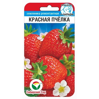 Клубника Красная пчелка (Код: 91372)