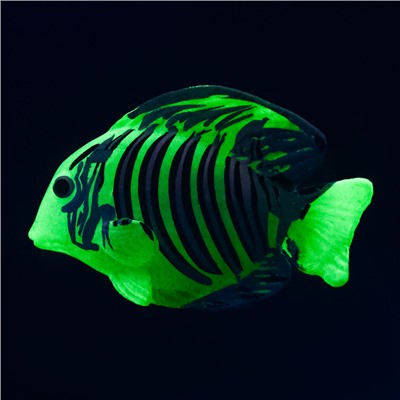 Декор для аквариума "Тохельская фея", силиконовый, с неоновым эффектом, 6 х 4 см