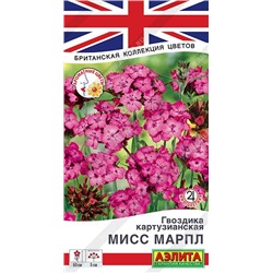 Гвоздика Мисс Марпл картузианская (Код: 90107)