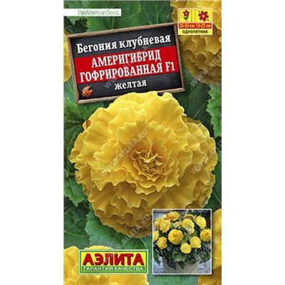 Бегония Америгибрид Желтая F1 (Код: 85998)