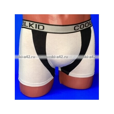 Подростковые трусы-боксеры для мальчиков COOL KID арт. 693