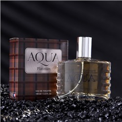 Туалетная вода мужская Aqua Platinum,100 мл (по мотивам Egoiste Platinum (Chanel)