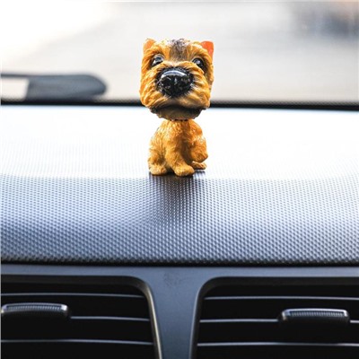 Собака на панель авто, качающая головой, ирландский терьер