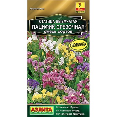 Статица Пацифик срезочная смесь  (Код: 92528)