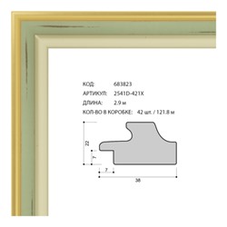 Багет пластиковый 38х22 2541D-421X /уп 121,8м/