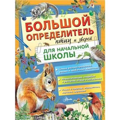 Большой определитель птиц и зверей для начальной школы. Станкевич С.А.