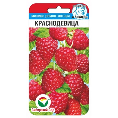 Малина Краснодевица (Код: 91373)