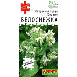 Огуречная трава Белоснежка (Код: 88744)