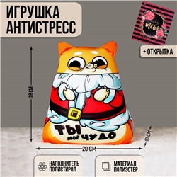 Новогодняя игрушка-антистресс «Ты моё чудо» + открытка, на новый год