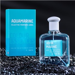 Туалетная вода мужская Colour ssncs Aquamarin, 100 мл (по мотивам Acqua Di Gio (G.Armani)