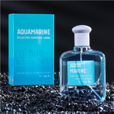 Туалетная вода мужская Colour ssncs Aquamarin, 100 мл (по мотивам Acqua Di Gio (G.Armani)