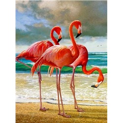 «Три фламинго»