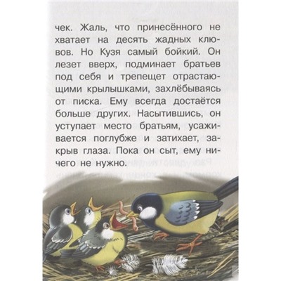 Лесные сказки, Никонов Н. Г.