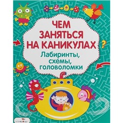 Чем заняться на каникулах. Выпуск 3. Лабиринты, схемы, головоломки