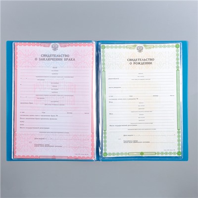 Папка для семейных документов "Котик" синий цвет, 4 комплекта документов, 19 карманов