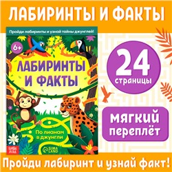 Книга «Лабиринты и факты. По лианам в джунгли», 24 стр.