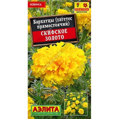 Бархатцы Скифское золото (Код: 90099)