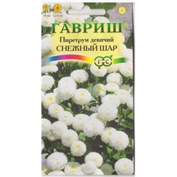 Пиретрум Снежный шар (Код: 9915)