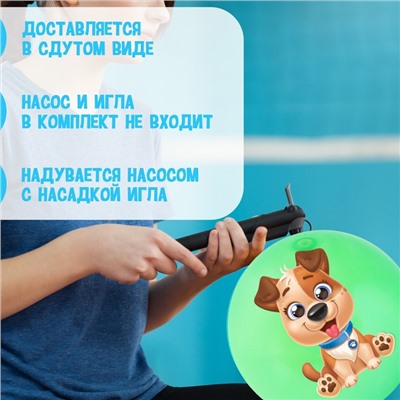 Мяч детский ZABIAKA «Пёсик», d=22 см, 60 г, цвет МИКС