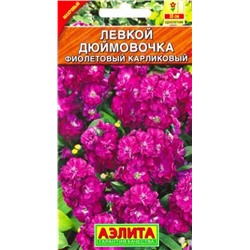 Левкой Дюймовочка фиолетовый  (Код: 83302)