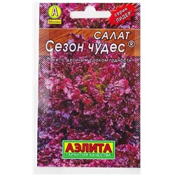 Салат Сезон чудес (Код: 75435)