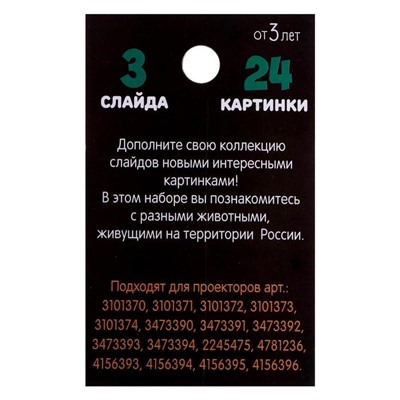 Слайды для проектора «Животные России», набор, 3 слайда, 24 картинки