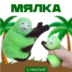 Мялка «Ленивец» с пастой, цвета МИКС