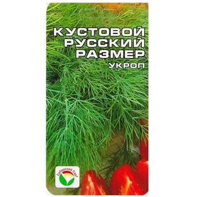 Укроп Кустовой Русский размер (Код: 12189)