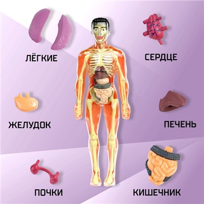 Научный опыт «Строение тела», уценка (мятая упаковка)