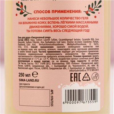 Новый Год. Гель для душа «Ты не подарок, но и я не Санта», 250 мл, аромат сладкой ванили