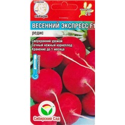 Редис Весенний Экспресс (Код: 83200)