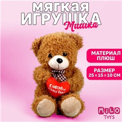 Мягкая игрушка «Счастье - это ты», медведь, 25 см, МИКС