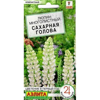 Люпин Сахарная голова (Код: 88858)