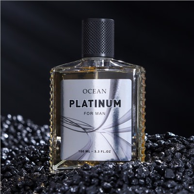 Туалетная вода мужская Ocean Platinum, 100 мл (по мотивам Egoiste Platinum (Chanel)