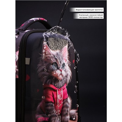 Рюкзак SkyName R8-030 + брелок мишка + мешок