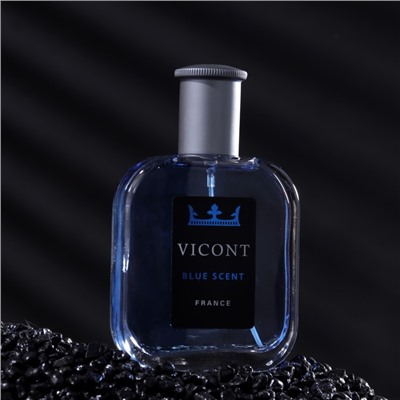 Туалетная вода мужская Vicont Blue Scent, 100 мл (по мотивам Blue Label (Givenchy)