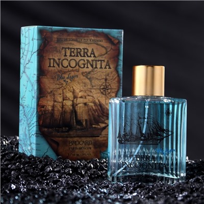 Туалетная вода мужская Terra Incognita Blue Lagoon, 100 мл