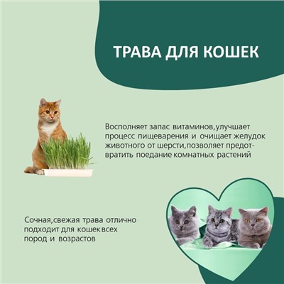 Трава TiTBiT для кошек, ячмень, 50 г