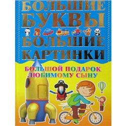 Большой подарок любимому сыну. Большие буквы. Большие картинки. Александров И.