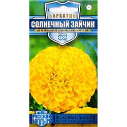 Бархатцы Солнечный Зайчик (Код: 84821)